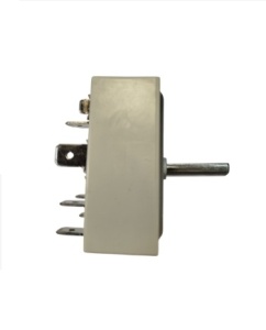 РЕГУЛЯТОР МОЩНОСТИ СОВМЕСТИМ С 50.55021.100